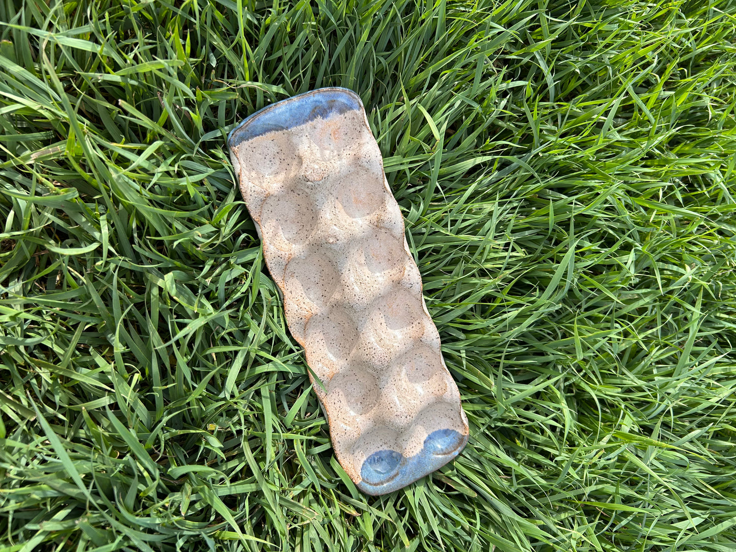 Egg tray | prairie sunset