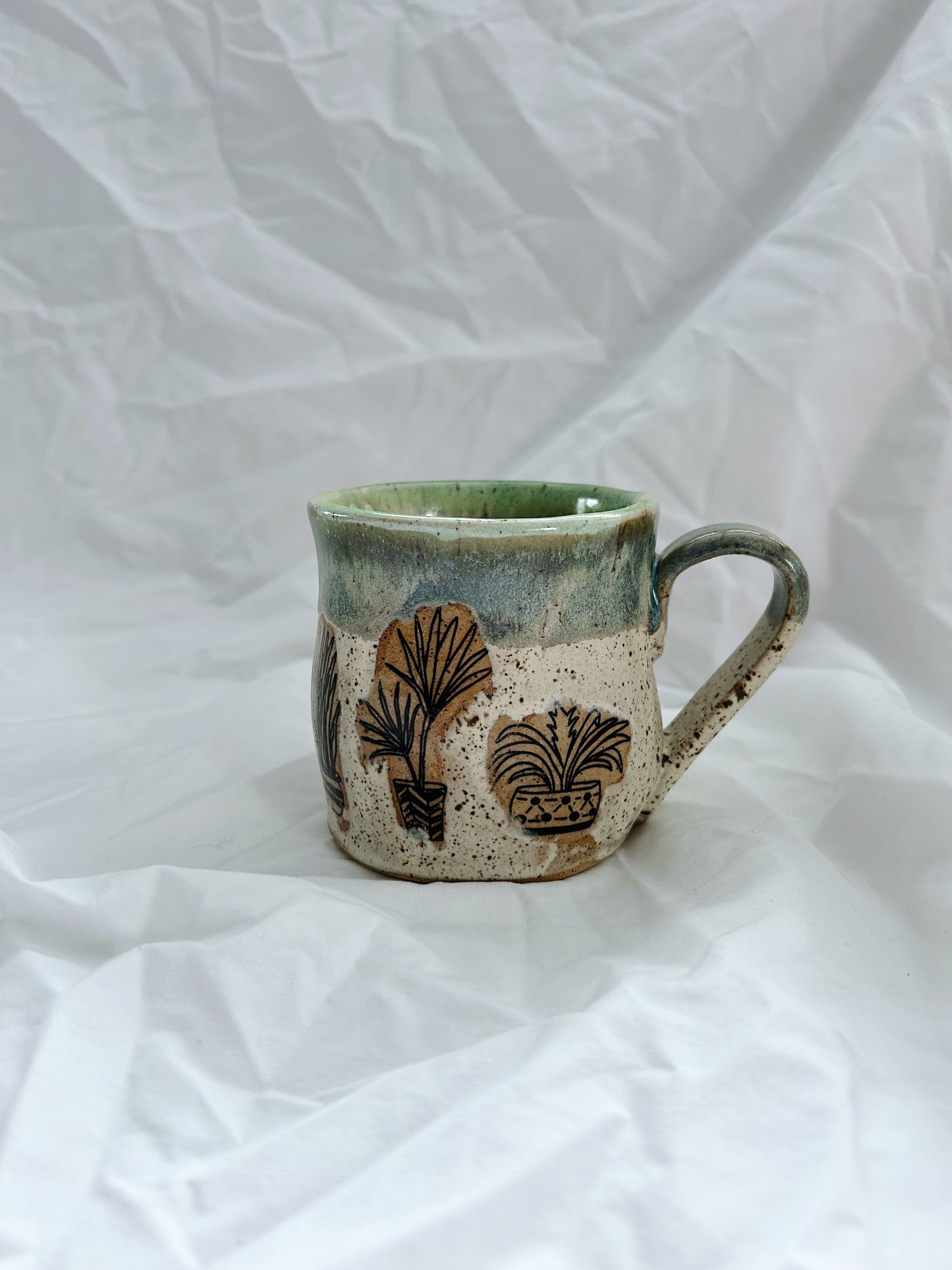 Medium Potted Plants |