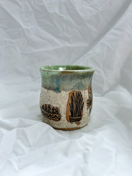 Medium Potted Plants |