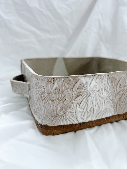 Coneflower 9x9 | cream