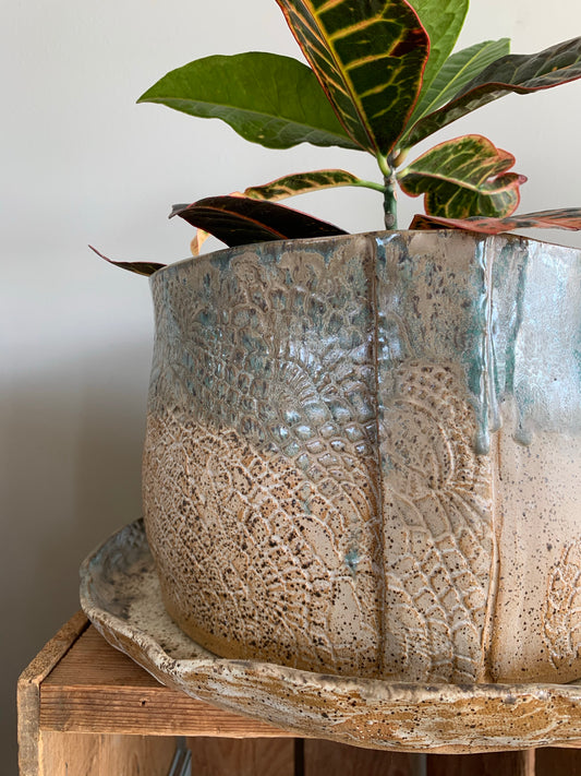 Planter workshops - March 2026