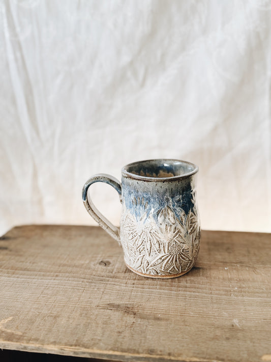 Coneflower prairie sunset  image 1