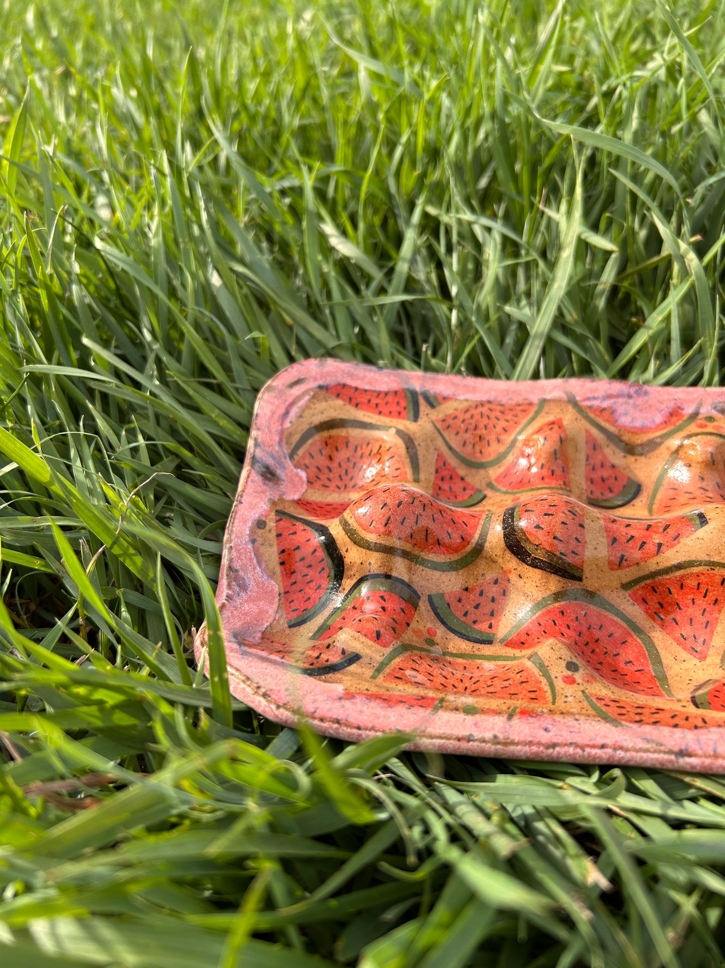 Watermelon egg tray