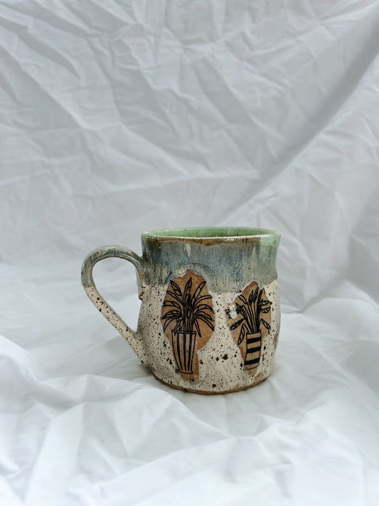 Medium Potted Plants |